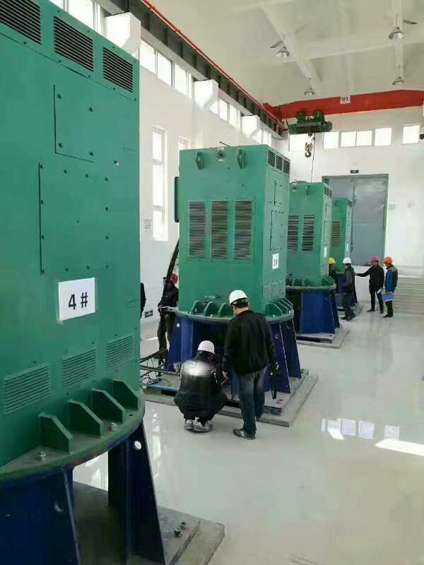 龙湖镇某污水处理厂使用我厂的立式高压电机安装现场